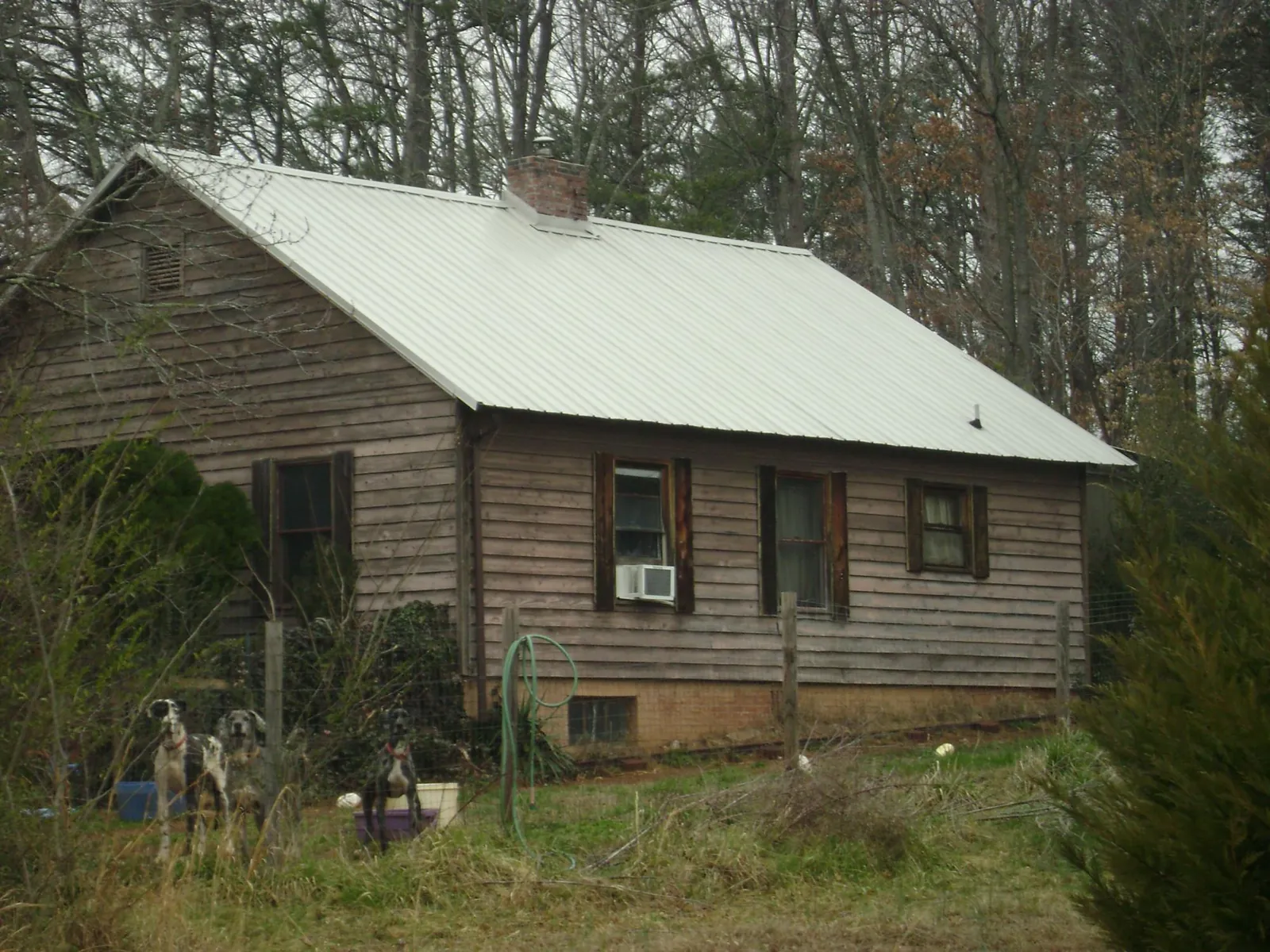 White metal roof on an old wood sided farmhouse, from a Asphalt Shingle Roof Repair job in Crossville